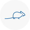 Mice Exterminators In Ruislip